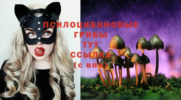 apvp Заволжье