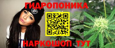 прущие крисы Партизанск