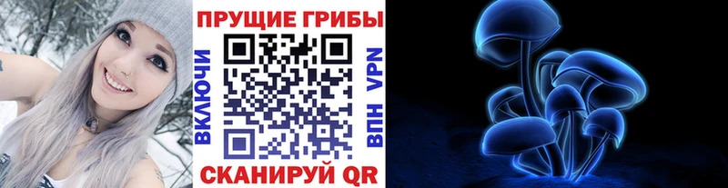 Галлюциногенные грибы Cubensis Новосибирск