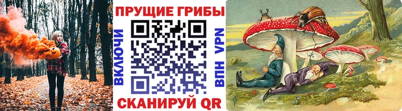 Псилоцибиновые грибы ЛСД  что такое наркотик  Новосибирск 