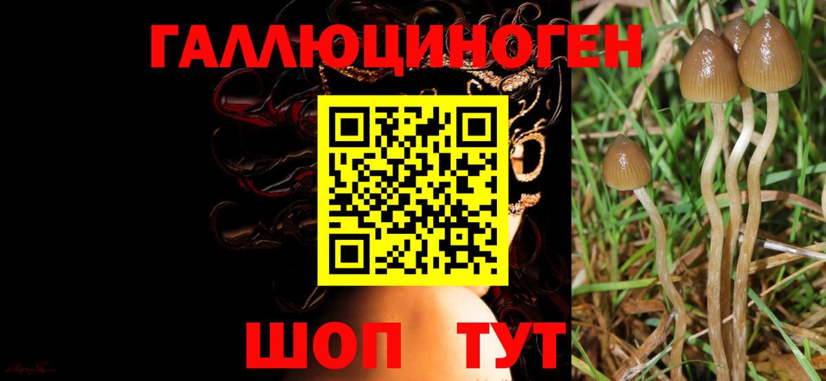 A-PVP Россия